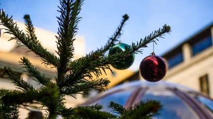 Zece curiozități despre luna decembrie. Luna Nașterii Domnului a bucuriei și cadourilor