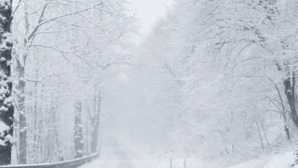 Prognoza meteo 30 decembrie. Viscolul cuprinde mare parte a țării