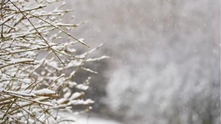 Lucruri uimitoare despre luna Ianuarie. Este cea mai rece lună din an