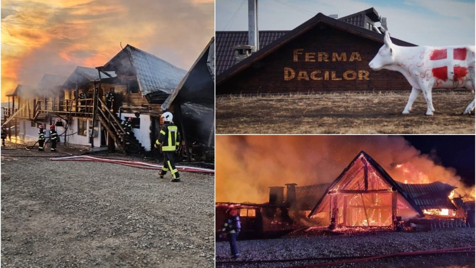 Tragedia de la Ferma Dacilor. Patronul Cornel Dinicu a fost arestat