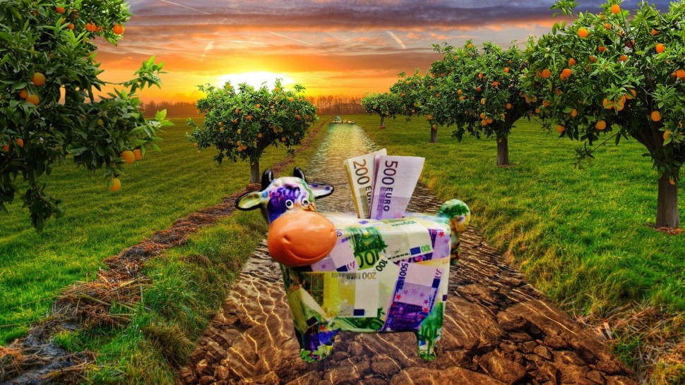 Ajutoare de 100 de euro pentru fermieri. Ce se întâmplă cu subvenția pentru motorină