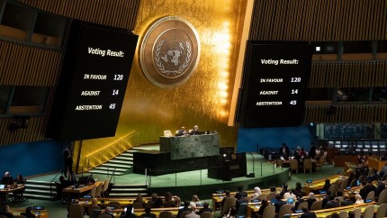 Adunarea Generală a ONU a votat pentru a cere încetarea imediată a focului în Gaza. Cine a fost împotrivă