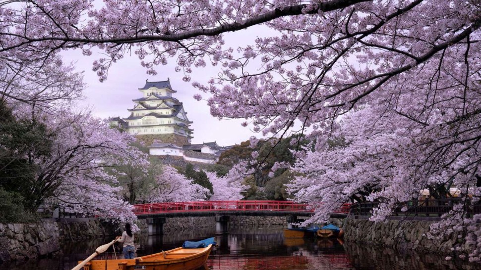 Curiozități despre Japonia. Mâncarea japoneză are un real succes peste tot în lume