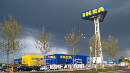 Ploșnite la Ikea ANPC face control de urgență în magazin | UPDATE