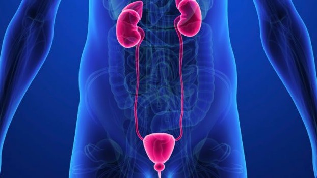 Bărbații își pot reduce șansele de a face cancer de prostată cu o treime printr-o simplă modificare a stilului de viață. Care e aceasta