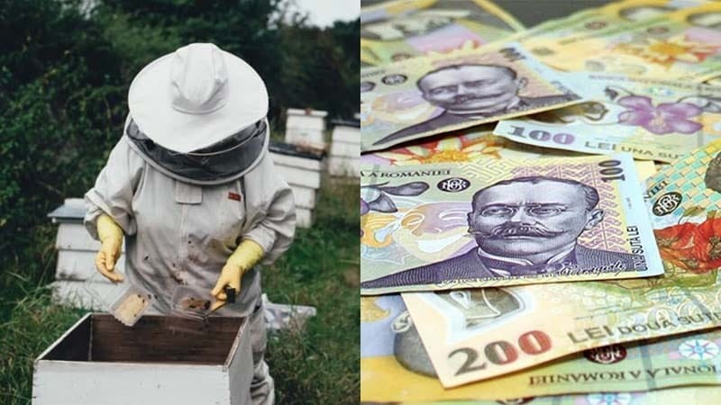 Ajutor în bani de la stat pentru persoanele fizice care îndeplinesc aceste condiții MADR pregătește 12 milioane de euro pentru românii muncitori