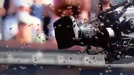 O invazie de albine a întrerupt partidă de tenis dintre Alcaraz și Zverev de la Indian Wells. De unde a venit salvarea | VIDEO