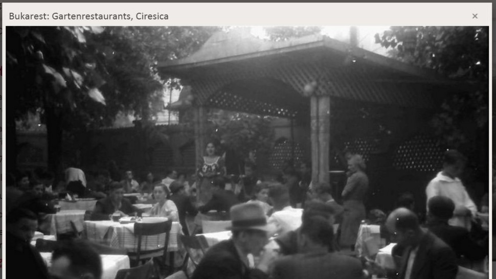 Cireșica povești nespuse despre restaurantul grădină din apropierea Cișmigiului. Ce se întâmpla când era rostită parola aș dori o amandină