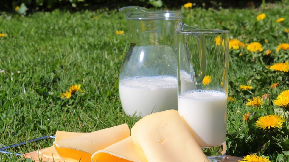 Atenție la ce produse lactate cumpărați Controalele ANSVSA au găsit nereguli grave