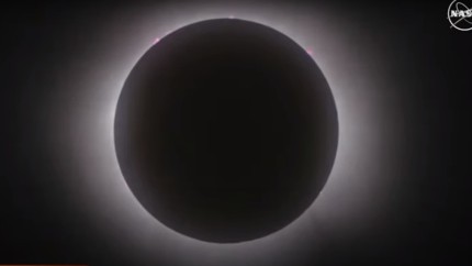 Eclipsă totală de soare imagini spectaculoase 4 minute de întuneric total | LIVE VIDEO UPDATE