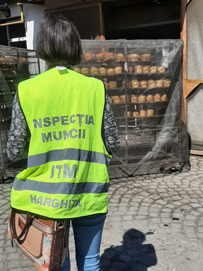 Controale Inspecția Muncii