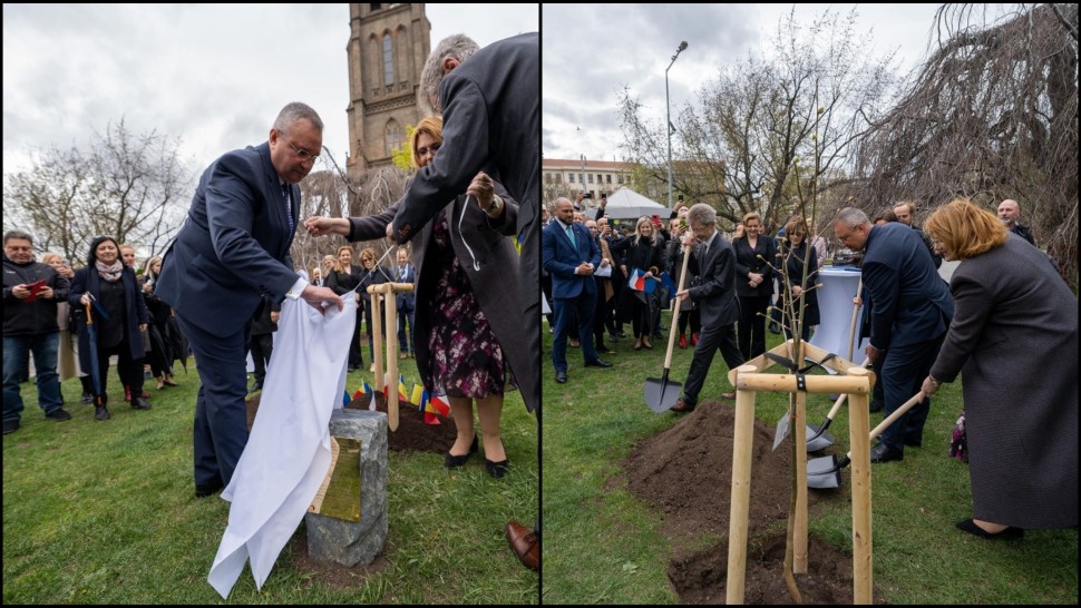 Un vlăstar din Teiul lui Mihai Eminescu plantat simbolic la Praga. Nicolae Ciucă liderul PNL l-a sădit. Semnificația acestui gest inedit | FOTO