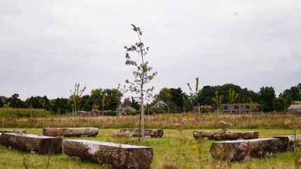 Primul cimitir ecologic din România. Care sunt condițiile pentru înmormantari