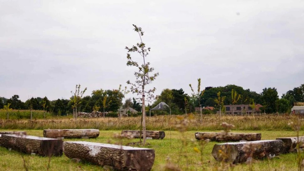 Primul cimitir ecologic din România. Care sunt condițiile pentru înmormantari