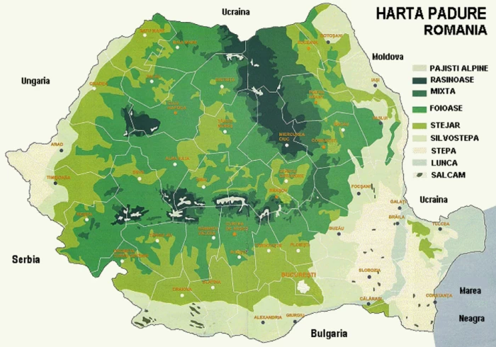 Harta pădurilor din România