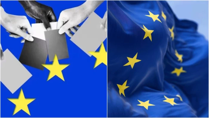 Alegeri europarlamentare 2024