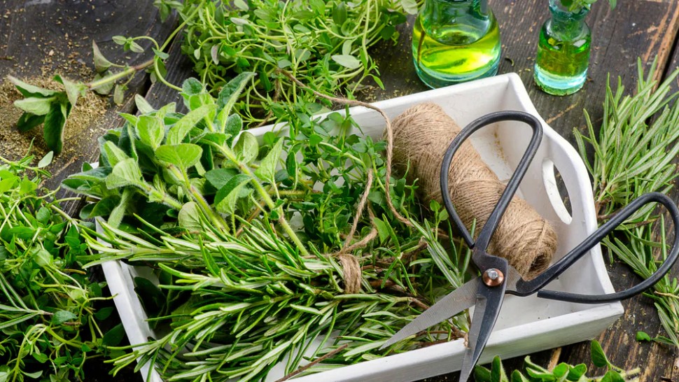Planta populară care poate ucide bacteriile pe loc. Multe gospodine o folosesc în bucătărie