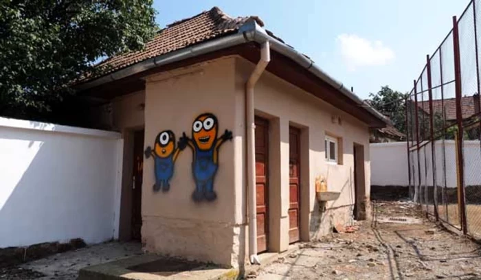 România, toaletă în curte