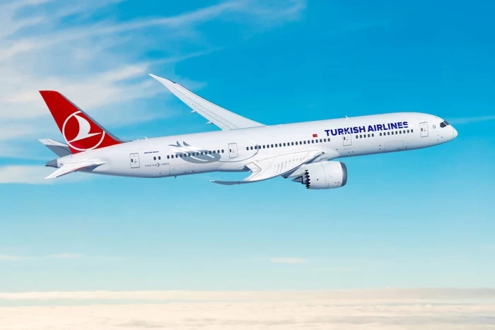 Panică la bordul unui avion Turkish Airlines