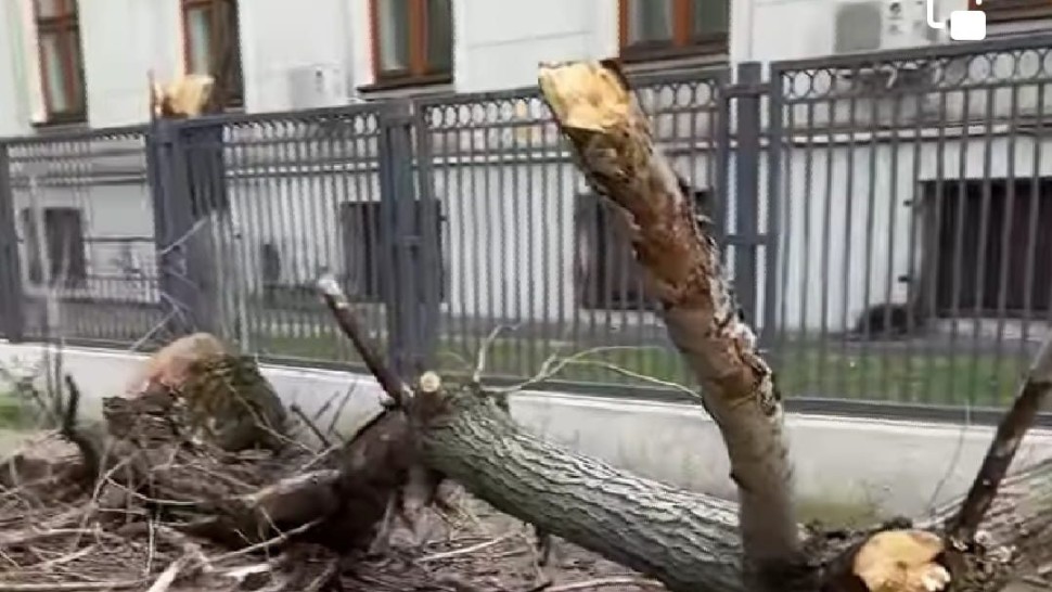 Alertă de vijelii și grindină în mare parte din țară. Capitala și județul Ilfov grav afectate copaci căzuți și localități fără curent electric  | VIDEO și FOTO UPDATE