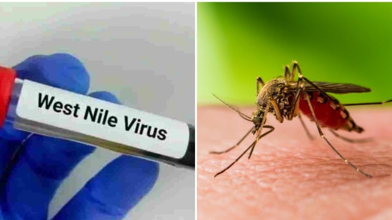Virusul West Nile raportat în 12 ţări europene inclusiv România. Avertisment al experților care sunt simptomele