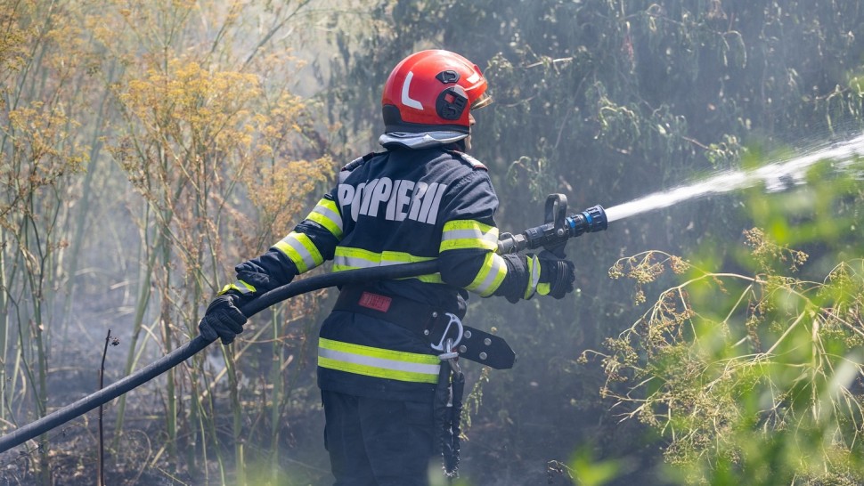 Delta Dunării mistuită de flăcări. Au ars peste 900 de hectare