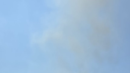 Puternic incendiu de vegetație în Ilfov. Pompierii au reușit să lichideze focarul | UPDATE
