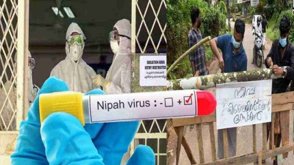 Alertă mondială Virusul mortal care a afectat deja 60 de oameni. Care sunt simptomele