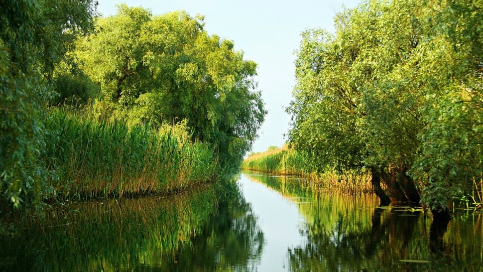 Sate minunate din Delta Dunării. Mii de turiști vin anual