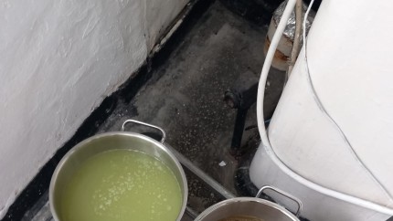 Comercianții de pe litoral bombe cu ceas pentru sănătatea turiștilor. Inspectorii ANPC au închis peste 50 de unități