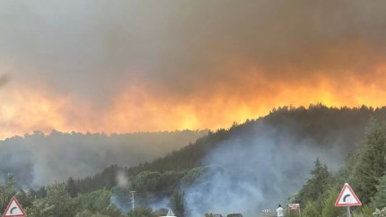 Portugalia afectată de uriașe incendii de vegetație. Avertismentul transmis de MAE