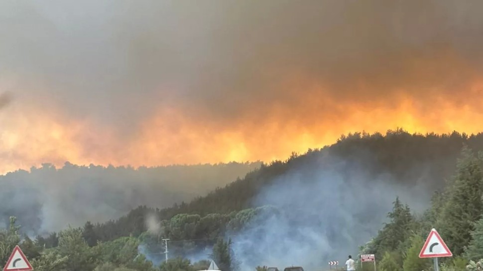 Portugalia afectată de uriașe incendii de vegetație. Avertismentul transmis de MAE