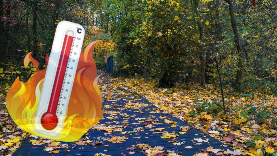 Alertă meteo ANM de caniculă Temperaturile de 36 de grade în mai multe zone din țară De marți canicula cu 38 de grade cuprinde toată jumătatea de sud a ţării HARTĂ