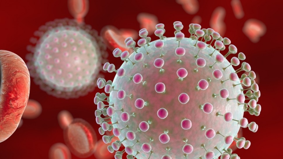 Alertă medicală. Un nou virus amenință omenirea. A fost depistat și în Europa