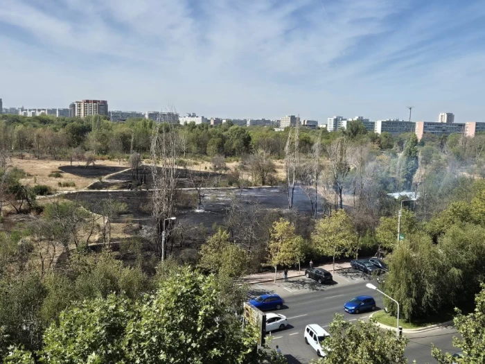 Incendiul din Parcul IOR a fost stins