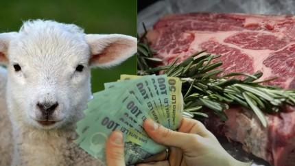 Ce prețuri vor plăti românii pentru carnea de oaie de Crăciun și Revelion. Avertismentul MADR