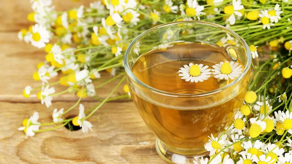 Beneficiile florilor de mușețel. Cum faci un ceai corect și gustos