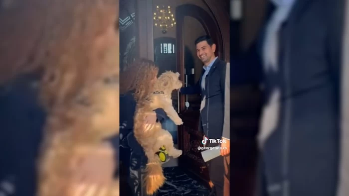 George Tuță rupe la propriu interdicția lui Clotilde Armand! Primăria S1 a devenit pet-friendly. „Sunt un iubitor al animalelor