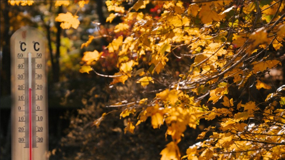 Temperaturi ieșite din comun în noiembrie. ANM a actualizat prognoza meteo pentru următoarele 4 săptămâni