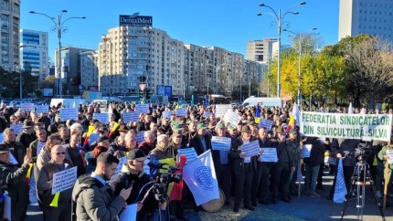 Noi proteste în Piața Victoriei. Este rândul sindicaliștilor din silvicultură alături de alte categorii profesionale