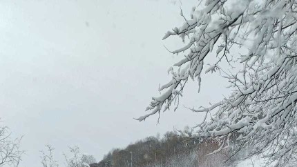 Județul care introduce propria rovinietă pe 16 drumuri. Cât ar urma să plătească șoferii