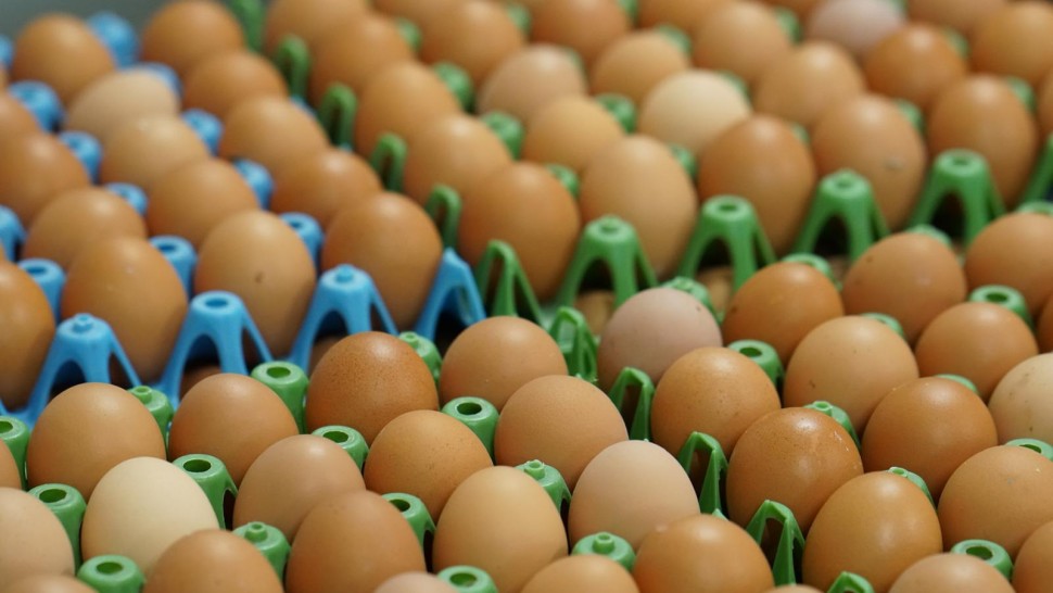 Prețurile la ouă înaintea Paștelui. România nu are concurență în UE