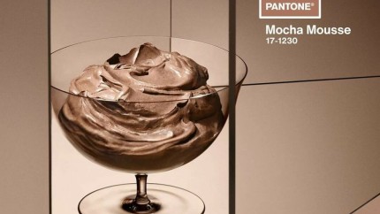 A fost aleasă culoarea anului 2025 Mocha Mousse o nuanță caldă de maro ciocolată şi cafea
