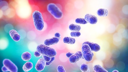 Alertă medicală lansată de OMS. Una din șase infecții bacteriene este acum rezistentă la medicamentele standard