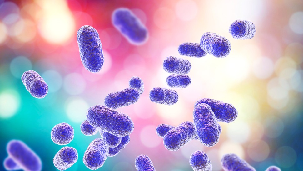 Alertă medicală lansată de OMS. Una din șase infecții bacteriene este acum rezistentă la medicamentele standard