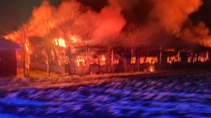 Infernul într-o fermă din Suceava. Peste 5.000 de porci au murit arși de vii într-un incendiu devastator