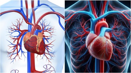 Scapi de toate problemele cu inima Un singur lucru trebuie adăugat la fiecare masă