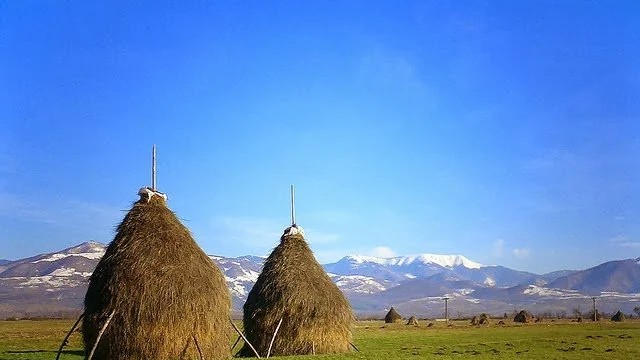 Căpițele de fân pe cale de dispariție în România. Ce amenință simbolul vieții rurale din țara noastră