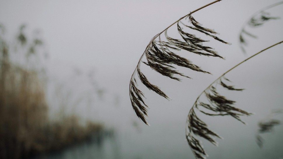 Scad temperaturile în toată țara. Prognoza meteo pentru șapte zile. Maximele nu vor mai depăși 30 de grade