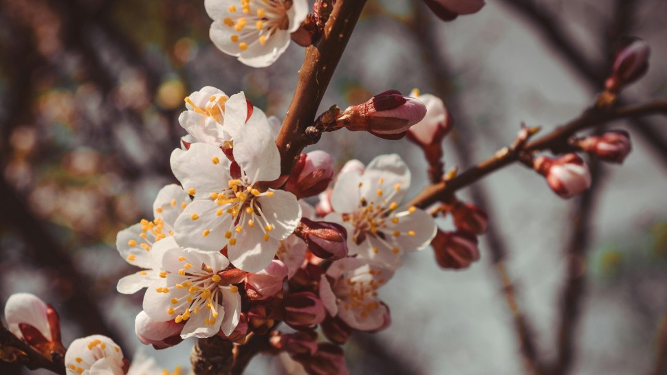 Vremea în luna mai ANM anunță temperaturi ridicate dar vine și o veste proastă